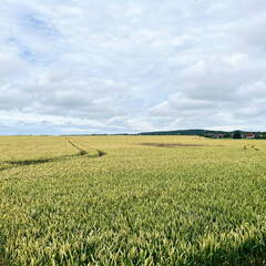 24-06-30 12-44-08 0033